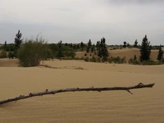 -亿利库布其七星湖沙漠生态旅游区