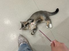 -共舞时光猫咖·狗咖(新街口店)