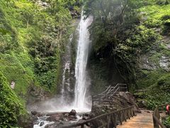 -莫里热带雨林景区