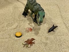 -争渡心理咨询全国连锁(福田店)