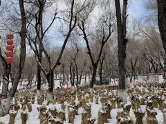 -红山公园