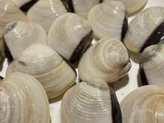 -碗中海·蒸汽海鲜·桑拿鸡(岭南天地店)