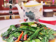 -天天初二·天津传统捞面·天津特色菜(凌奥总店)