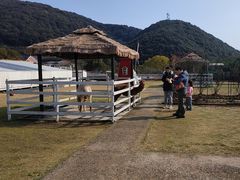 -宁波九龙湖开元度假村