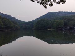 -白马涧龙池景区