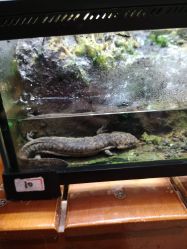 -酷嗒动物文化乐园(cutezoo西溪乐天城店)