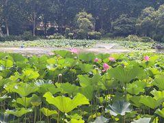 -河南省黄河迎宾馆