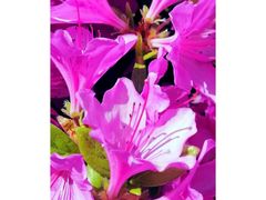 -羊亭河湿地公园