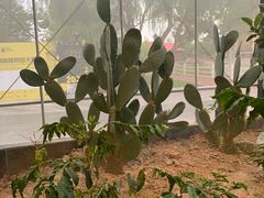 -MUSEO COFFEE咖啡博物馆
