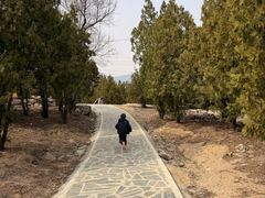 -白水寺森林公园
