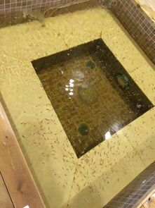 -中家鑫园温泉酒店鑫悦汤泉