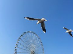 -蠡湖大桥公园