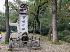 -灵谷景区