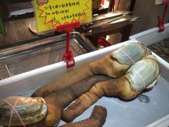 -蚝专家(北滘店)