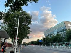 -东来顺铜锅炭火涮肉(上地华联店)