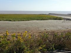 android_upload_pic-南汇嘴观海公园