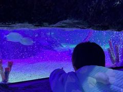 -沈阳海洋探索中心