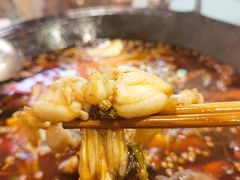 -鸿顺老铁锅美蛙鱼府(解放碑店)