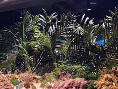 -海吃海喝海鲜烤肉炭火主题自助餐(朝阳店)