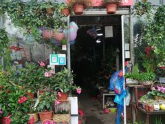 -平吉花卉市场
