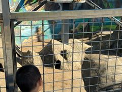 -无锡动物园·太湖欢乐园