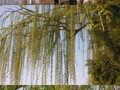 -天津水上公园
