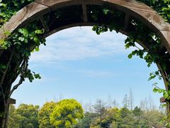 -上海滨江森林公园