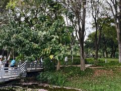 -东莞植物园