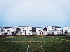 -东梓关景区村庄