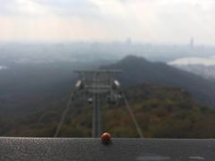 -紫金山山顶公园