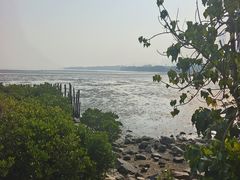 -深圳湾公园(南山区)