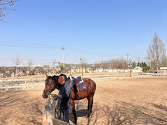 -北京群众马术培训基地