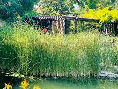 -三里河公园