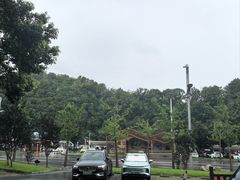-庐山风景名胜区-东林大佛