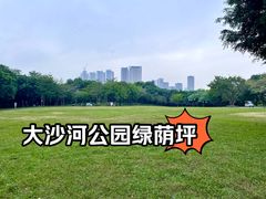 -大沙河公园