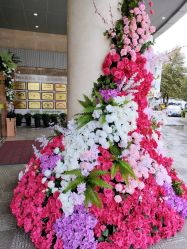 -云南玛莉亚医院