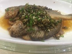 -海晖酒楼·顺德鱼生(荣华店)