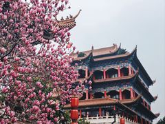 -皇罗禅寺