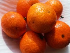 -彩丰楼·中餐厅(国家会展中心上海洲际店)