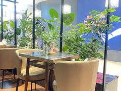 -THE WOODS 简餐 (国贸商城店)
