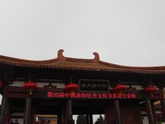 -神州牡丹园