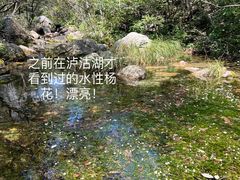 -玉渡山自然风景区