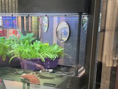 -番食园鲜食火锅(高新店)