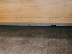 -吉野家(复兴路第二餐厅店)