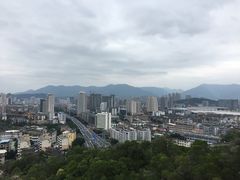 -金鸡山公园