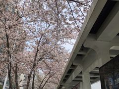 -华中科技大学光谷体育馆