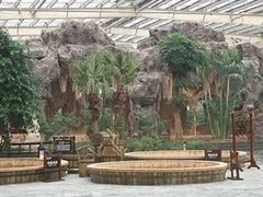 -龙达温泉生态城