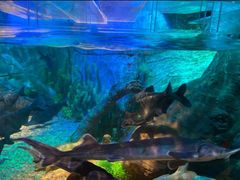 -沈阳海洋探索中心