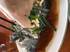 -坛南湾阿强农家乐.海鲜大排档老字号(福州地标美食店)