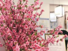 -一杯潮茶·专注潮汕茶饮(十二中创始店)